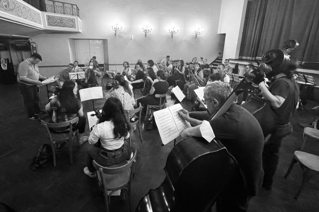 symphony orchestra during rehersals